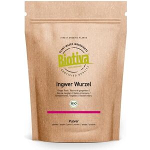 Biotiva Gingembre en poudre bio 1kg (4x250g) Gingembre Racine de gingembre moulue p.ex. pour thé au gingembre et eau au gingembre Mis en bouteille et contrôlé en Allemagne - Publicité Biotiva Gingembre en poudre bio 1kg (4x250g) Gingembre Racine de gingembre moulue p.ex. pour thé au gingembre et eau au gingembre Mis en bouteille et contrôlé en Allemagne - Publicité