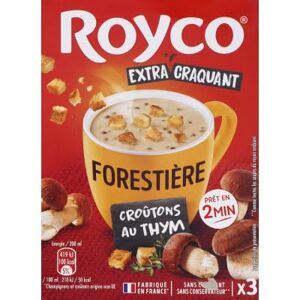 Royco CHAMPIGNONS CROUTONS THY - Publicité Royco CHAMPIGNONS CROUTONS THY - Publicité