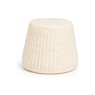 Salumi Pasini Ricottina italienne ® Ricotta salée au lait de brebis et de chèvre 1 kg - Publicité Salumi Pasini Ricottina italienne ® Ricotta salée au lait de brebis et de chèvre 1 kg - Publicité