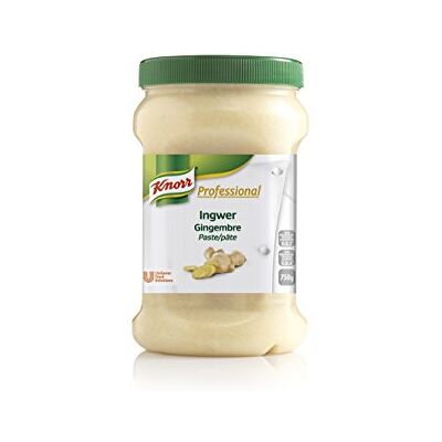 Knorr Pâte à assaisonnement professionnelle au gingembre (goût naturel, toujours prête à l'emploi) 750 g - Publicité Knorr Pâte à assaisonnement professionnelle au gingembre (goût naturel, toujours prête à l'emploi) 750 g - Publicité