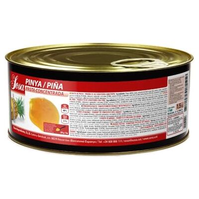 SOSA Pâte concentrée d'ananas Format 1,5 kg - Publicité SOSA Pâte concentrée d'ananas Format 1,5 kg - Publicité