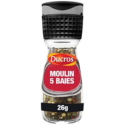 AUCHAN Lot de 3 unités *** DUCROS Moulin 5 baies doux 26g - Publicité AUCHAN Lot de 3 unités *** DUCROS Moulin 5 baies doux 26g - Publicité