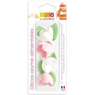 ScrapCooking Décos Azymes 4 Roses Assorties et 6 Feuilles Vertes Blister - Publicité ScrapCooking Décos Azymes 4 Roses Assorties et 6 Feuilles Vertes Blister - Publicité