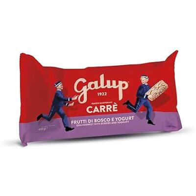 GALUP Carrè baies et yaourt 400g - Publicité GALUP Carrè baies et yaourt 400g - Publicité