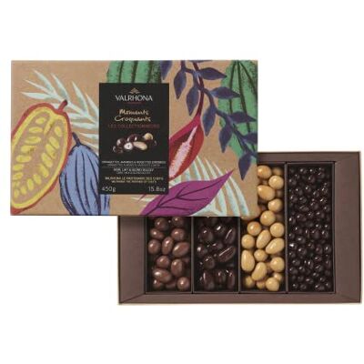 VALRHONA Coffret amandes et noisettes enrobées de chocolat noir, lait, Dulcey 450g - Publicité VALRHONA Coffret amandes et noisettes enrobées de chocolat noir, lait, Dulcey 450g - Publicité