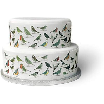 Top That Feuille de décoration comestible sur le thème des oiseaux du jardin britannique, ruban de bordure – Parfait pour décorer vos gâteaux – Facile à utiliser - Publicité Top That Feuille de décoration comestible sur le thème des oiseaux du jardin britannique, ruban de bordure – Parfait pour décorer vos gâteaux – Facile à utiliser - Publicité