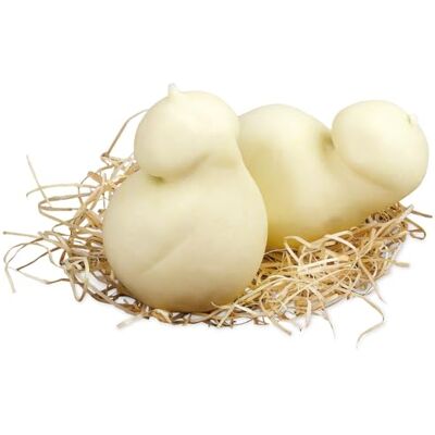 Amanti taste and passion Scamorza de lait de Buafala Laiterie Mail Fromage frais 4 pièces de 250 g 1 kg Bataille Campanie - Publicité Amanti taste and passion Scamorza de lait de Buafala Laiterie Mail Fromage frais 4 pièces de 250 g 1 kg Bataille Campanie - Publicité