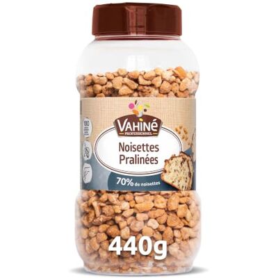 Vahiné Noisettes Pralinées, 440 G - Publicité Vahiné Noisettes Pralinées, 440 G - Publicité