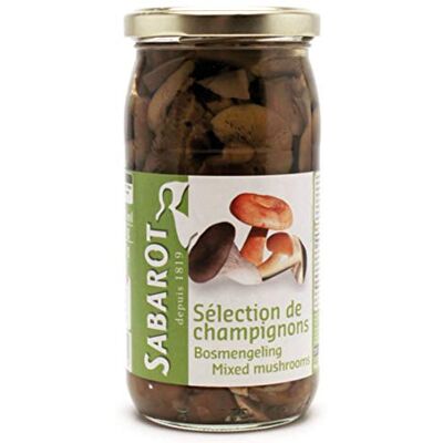 Sabarot Sélection de champignons en bocal 185g - Publicité Sabarot Sélection de champignons en bocal 185g - Publicité