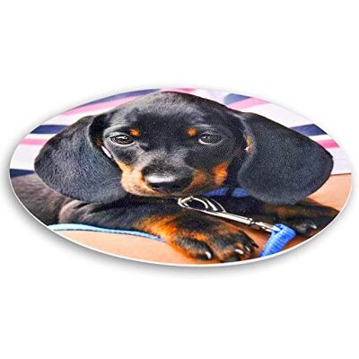 LOOXIS Photo comestible personnalisée ronde, à personnaliser Anniversaire, Baptême, Mariage Dessous de plat, rond 20cm de diamètre - Publicité LOOXIS Photo comestible personnalisée ronde, à personnaliser Anniversaire, Baptême, Mariage Dessous de plat, rond 20cm de diamètre - Publicité
