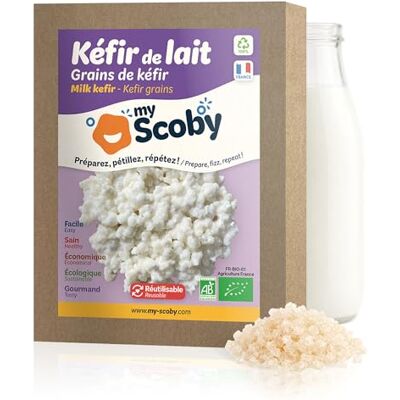 My Scoby Grains BIO ® Kit kéfir de lait Guide inclus facile et rapide Vivant et réutilisable Sec Fabriqué en France - Publicité My Scoby Grains BIO ® Kit kéfir de lait Guide inclus facile et rapide Vivant et réutilisable Sec Fabriqué en France - Publicité