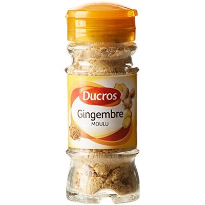DUCROS Gingembre moulu 26 g - Publicité DUCROS Gingembre moulu 26 g - Publicité