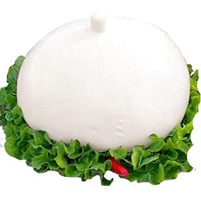 Mail Mozzarelloni de buffle cloche Dop, 2 kg - Publicité Mail Mozzarelloni de buffle cloche Dop, 2 kg - Publicité
