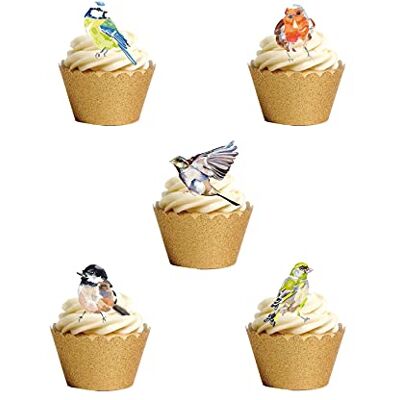 Top That Lot de 30 décorations de gâteaux en papier comestible sur le thème des oiseaux du jardin - Publicité Top That Lot de 30 décorations de gâteaux en papier comestible sur le thème des oiseaux du jardin - Publicité