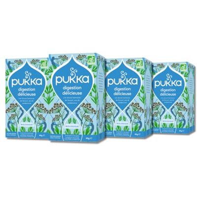 Lipton Pukka, Infusion Bio Digestion Délicieuse, Infusion Biologique et Ayurvédique,100% des Ingrédients Issus du Commerce Equitable, 80 Sachets, Lot de 4x20 sachets - Publicité Lipton Pukka, Infusion Bio Digestion Délicieuse, Infusion Biologique et Ayurvédique,100% des Ingrédients Issus du Commerce Equitable, 80 Sachets, Lot de 4x20 sachets - Publicité