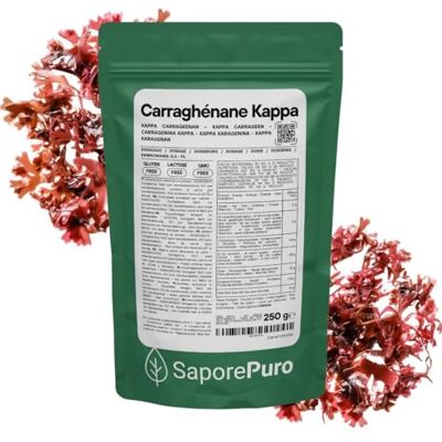 SaporePuro Carraghénane Kappa en Poudre 250 g – Sans Gluten – Gélifiant et Stabilisant pour Préparations Salées, Viandes, Gelées et Desserts - Publicité SaporePuro Carraghénane Kappa en Poudre 250 g – Sans Gluten – Gélifiant et Stabilisant pour Préparations Salées, Viandes, Gelées et Desserts - Publicité