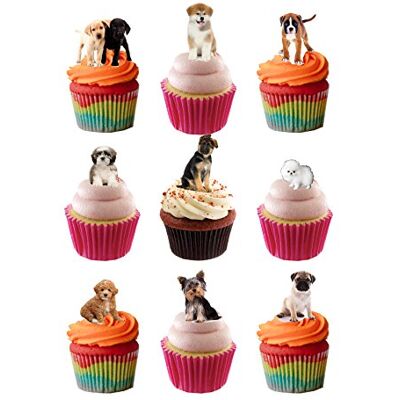 Top That Lot de 32 décorations en papier gaufrette comestible pour gâteaux sur le thème des chiots - Publicité Top That Lot de 32 décorations en papier gaufrette comestible pour gâteaux sur le thème des chiots - Publicité