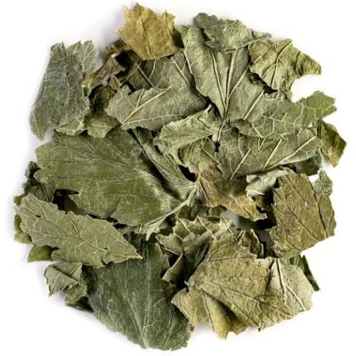 Valley of Tea Infusion Cassis Bio Tisane Feuilles Accompagnement Idéal De Vos Desserts Ribes Nigrum Fraîcheur Garantie 50g - Publicité Valley of Tea Infusion Cassis Bio Tisane Feuilles Accompagnement Idéal De Vos Desserts Ribes Nigrum Fraîcheur Garantie 50g - Publicité