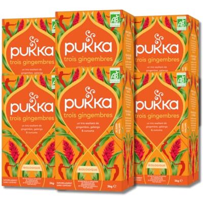 Lipton Pukka Infusion Biologique et Ayurvédique, Goût Trois Gingembres, Relaxant, 100% des Ingrédients Issus du Commerce Equitable, 6x20 Sachets, 120 Sachets - Publicité Lipton Pukka Infusion Biologique et Ayurvédique, Goût Trois Gingembres, Relaxant, 100% des Ingrédients Issus du Commerce Equitable, 6x20 Sachets, 120 Sachets - Publicité