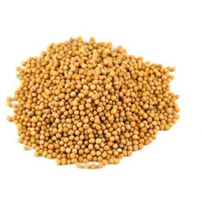 Jalpur Graines de moutarde jaune 50 g - Publicité Jalpur Graines de moutarde jaune 50 g - Publicité