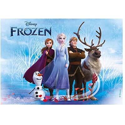 dekora La Reine des Nieges Papier Comestible pour Décoration de Gâteau d'Anniversaire (Rectangle Azyme A5) - Publicité dekora La Reine des Nieges Papier Comestible pour Décoration de Gâteau d'Anniversaire (Rectangle Azyme A5) - Publicité