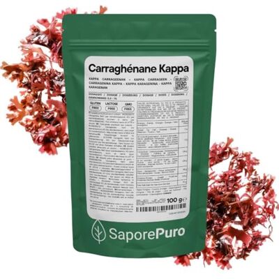 SaporePuro Carraghénane Kappa en Poudre 100 g – Sans Gluten – Gélifiant et Stabilisant pour Préparations Salées, Viandes, Gelées et Desserts - Publicité SaporePuro Carraghénane Kappa en Poudre 100 g – Sans Gluten – Gélifiant et Stabilisant pour Préparations Salées, Viandes, Gelées et Desserts - Publicité