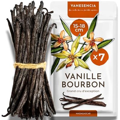 Vanesencia 7 Gousses de Vanille XL 15-18cm Vanille Bourbon Gourmet Madagascar GRAND CRU Gousse de Vanille Charnue Taux Élevé de Vanilline Sachet Zip - Publicité Vanesencia 7 Gousses de Vanille XL 15-18cm Vanille Bourbon Gourmet Madagascar GRAND CRU Gousse de Vanille Charnue Taux Élevé de Vanilline Sachet Zip - Publicité