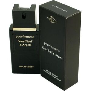 Van Cleef & Arpels VAN CLEEF HOMME edt vapo 50 ml - Publicité