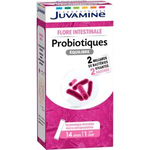 JUVAMINE Probiotiques Equilibre 2 Souches Flore intestinale -14 sticks - Publicité