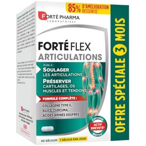 Laboratoires Forté Pharma Forté Pharma FortéFlex Articulations Complément Alimentaire Articulations Collagène type II, Curcuma, Vitamine C, Zinc Santé des os, tendons, ligaments Format 3 mois, 90 gélules, 1/jour - Publicité