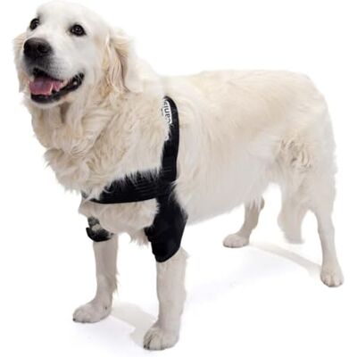 Ortocanis Coudière Chien Souffrant d’Hygromas, de Callosités, de Dysplasie du Coude et d'Arthrose, Taille M - Publicité Ortocanis Coudière Chien Souffrant d’Hygromas, de Callosités, de Dysplasie du Coude et d'Arthrose, Taille M - Publicité
