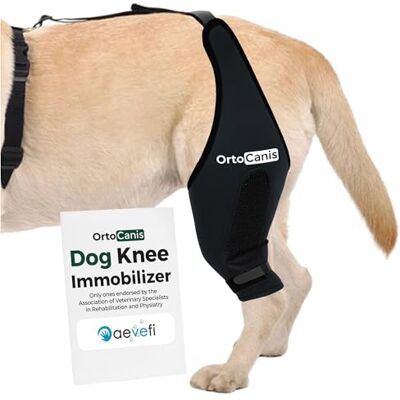 Ortocanis Immobilisateur de Genou pour Chien Genouillère pour Patte Droite Rupture de Ligaments, Luxation de Rotule, Récupération Postopératoire Néoprène Spécial Taille : XXL de 43 a 48 cm - Publicité Ortocanis Immobilisateur de Genou pour Chien Genouillère pour Patte Droite Rupture de Ligaments, Luxation de Rotule, Récupération Postopératoire Néoprène Spécial Taille : XXL de 43 a 48 cm - Publicité