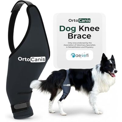 Ortocanis Genouillère Chien Souffrant d’Arthrite, Arthrose, Lésions Ligaments Croisés, Patte Droite, Taille X-Mini - Publicité Ortocanis Genouillère Chien Souffrant d’Arthrite, Arthrose, Lésions Ligaments Croisés, Patte Droite, Taille X-Mini - Publicité
