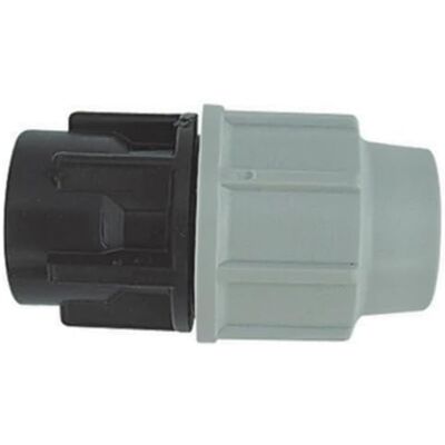 Plasson Raccord F 2" x63mm pour tuyaux en polyéthylène - Publicité Plasson Raccord F 2" x63mm pour tuyaux en polyéthylène - Publicité