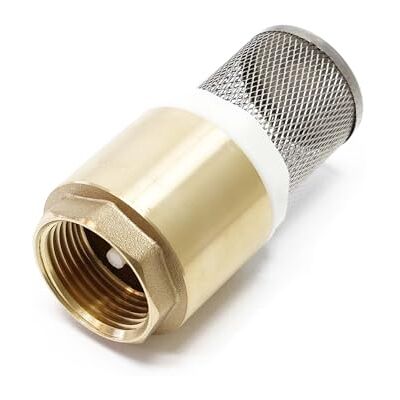 XPOTOOL - DN25 33.7mm Laiton - Vanne anti-retour - Panier en acier inoxydable - Vanne - Publicité XPOTOOL - DN25 33.7mm Laiton - Vanne anti-retour - Panier en acier inoxydable - Vanne - Publicité