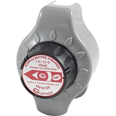 Gurtner - DSP 5/37 - 5 kg/h - 0.5-1.75 bar - Vanne - Publicité Gurtner - DSP 5/37 - 5 kg/h - 0.5-1.75 bar - Vanne - Publicité