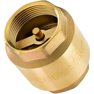 POPPSTAR Clapet Anti-retour 1 1/2 pouce (Laiton, Inoxydable & Étanche) pour Pompe et Lave-linge - Publicité POPPSTAR Clapet Anti-retour 1 1/2 pouce (Laiton, Inoxydable & Étanche) pour Pompe et Lave-linge - Publicité