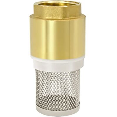 VARIOSAN 14146 Clapet de pied 3/4 pouce clapet anti-retour, laiton, panier en acier inoxydable - Publicité VARIOSAN 14146 Clapet de pied 3/4 pouce clapet anti-retour, laiton, panier en acier inoxydable - Publicité