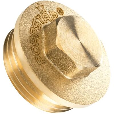 POPPSTAR Bouchon en Laiton 1" Filetage Extérieur (33,3 mm, max. 50 bar, hexagone 19 mm) - Publicité POPPSTAR Bouchon en Laiton 1" Filetage Extérieur (33,3 mm, max. 50 bar, hexagone 19 mm) - Publicité