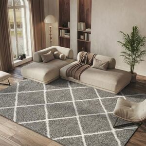 Myla Gris et Ivoire 244 x 305 cm - Tapis - Publicité Myla Gris et Ivoire 244 x 305 cm - Tapis - Publicité