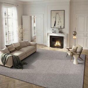 Safavieh - Olivia - Gris - 230x154x2 cm - Tapis - Publicité Safavieh - Olivia - Gris - 230x154x2 cm - Tapis - Publicité