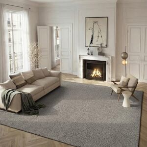 Tapis Olivia Gris de Safavieh - Polypropylène Rectangulaire 270x180cm - Publicité Tapis Olivia Gris de Safavieh - Polypropylène Rectangulaire 270x180cm - Publicité