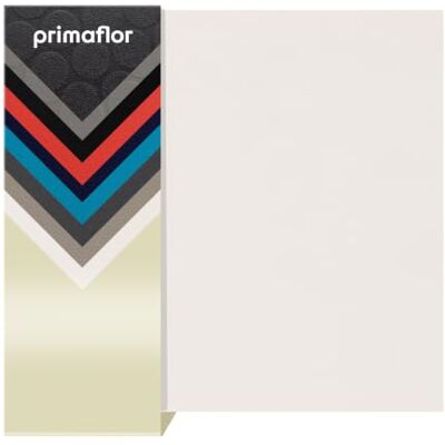 Primaflor - Ideen in Textil Tapis PVC EXPOTOP 2,00m x 2,00m, Blanc,Tapis Vinyle Uni, Résistance au feu B1 Revêtement de Sol PVC au Mètre Plusieurs Tailles et Couleurs - Publicité Primaflor - Ideen in Textil Tapis PVC EXPOTOP 2,00m x 2,00m, Blanc,Tapis Vinyle Uni, Résistance au feu B1 Revêtement de Sol PVC au Mètre Plusieurs Tailles et Couleurs - Publicité