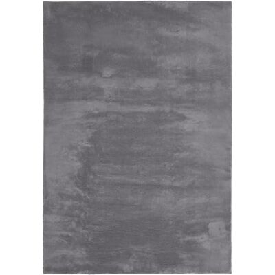 andiamo Tapis Arezzo Lavable pour Salon, Salle à Manger, Facile d'entretien, élégant et Confortable, en Fourrure, uni, 120 x 170 cm, Anthracite - Publicité andiamo Tapis Arezzo Lavable pour Salon, Salle à Manger, Facile d'entretien, élégant et Confortable, en Fourrure, uni, 120 x 170 cm, Anthracite - Publicité