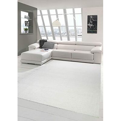 Merinos Tapis de Salon Moderne à Poils Courts avec Motif uni en crème Größe 160x230 cm - Publicité Merinos Tapis de Salon Moderne à Poils Courts avec Motif uni en crème Größe 160x230 cm - Publicité