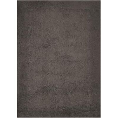 andiamo San Paolo Tapis à Poils Longs Moderne et élégant pour Salon, Chambre à Coucher, 100% Polyester, Hauteur des Poils env. 27 mm, Convient pour Chauffage au Sol, 130 x 190 cm, Anthracite - Publicité andiamo San Paolo Tapis à Poils Longs Moderne et élégant pour Salon, Chambre à Coucher, 100% Polyester, Hauteur des Poils env. 27 mm, Convient pour Chauffage au Sol, 130 x 190 cm, Anthracite - Publicité