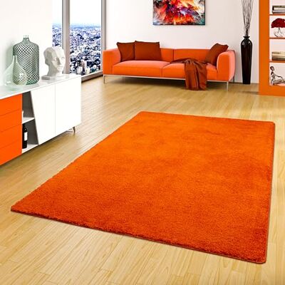 Snapstyle - Palace - 160 x 240 cm - poil long - Tapis - Publicité Snapstyle - Palace - 160 x 240 cm - poil long - Tapis - Publicité