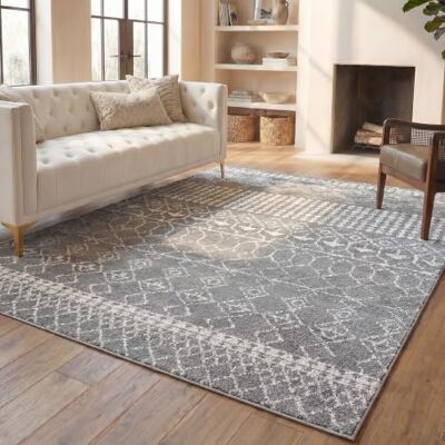 Safavieh - Isaura - Gris - 270x180 cm - Rug - Publicité Safavieh - Isaura - Gris - 270x180 cm - Rug - Publicité