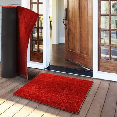 casa pura Paillasson d'entrée en Fibre de Coco Premium, Antidérapant, Tapis d'entrée Usage intensif, Tapis pour l'entrée Absorbant, Dense Velours Résistant (17 mm, 50 x 80 cm, Rouge) - Publicité casa pura Paillasson d'entrée en Fibre de Coco Premium, Antidérapant, Tapis d'entrée Usage intensif, Tapis pour l'entrée Absorbant, Dense Velours Résistant (17 mm, 50 x 80 cm, Rouge) - Publicité