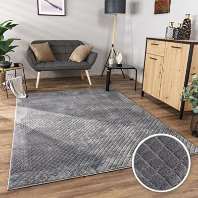 Paco Home Tapis Salon Chambre Adulte Poils Ras Motif Scandinave Motif Boho 3D, Dimension:60x100 cm, Couleur:Anthracite - Publicité Paco Home Tapis Salon Chambre Adulte Poils Ras Motif Scandinave Motif Boho 3D, Dimension:60x100 cm, Couleur:Anthracite - Publicité